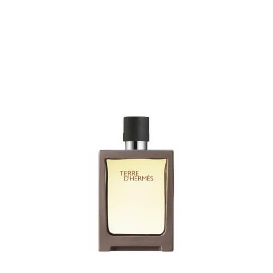 Terre d'Hermès - Eau de Toilette Flacon Nomade