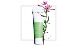 Clarins - Pure Scrub