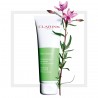 Clarins - Pure Scrub