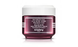 Sisley - Baume-en-Eau à la Rose Noire