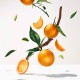 Roger & Gallet - Eau Parfumée Bienfaisante Bois d'Orange