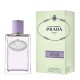 Prada - Infusion de Figue