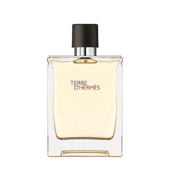 Terre d'Hermès - Eau de toilette